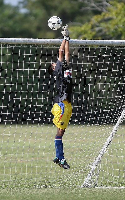 依赖鲍威尔 依赖鲍威尔