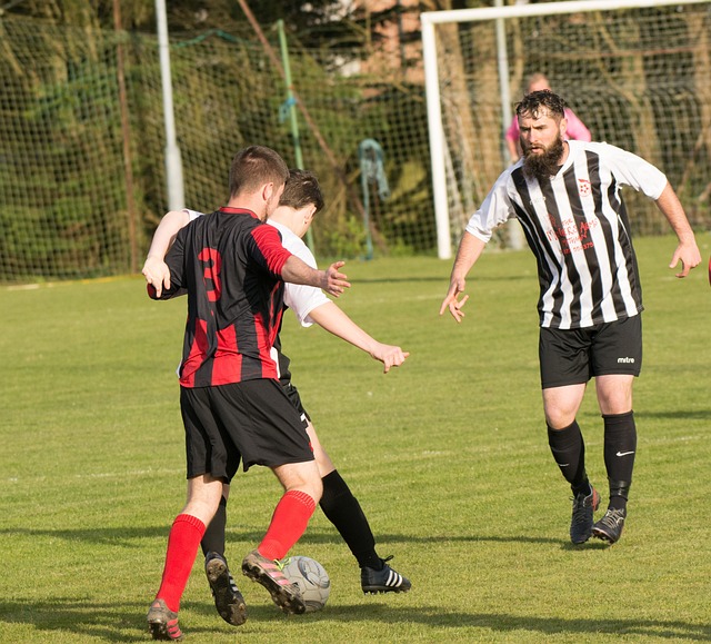 引发关注 引发关注