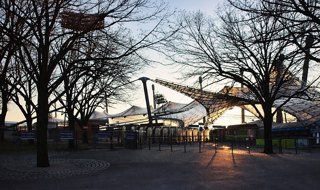 新确立自己 新确立自己