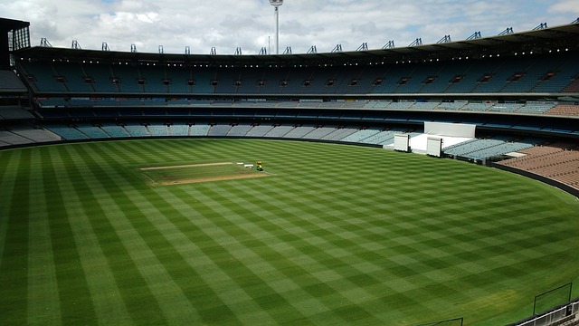 年度最佳新 年度最佳新
