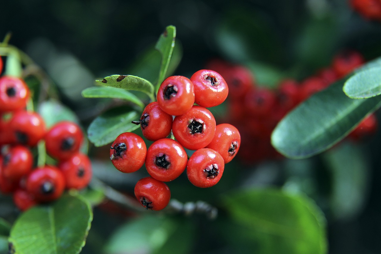 他在業內的 他在業內的