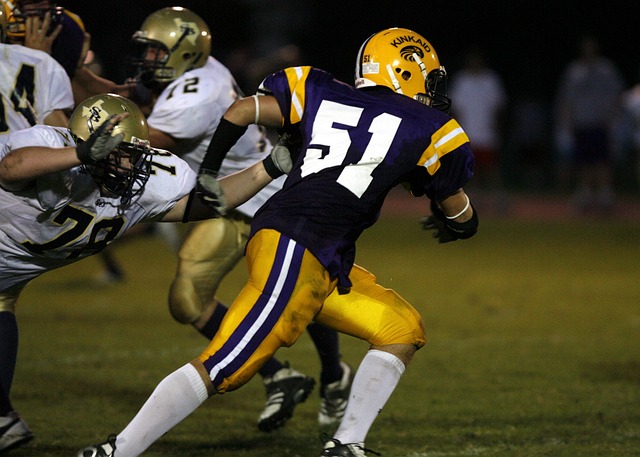 场上继续书 场上继续书