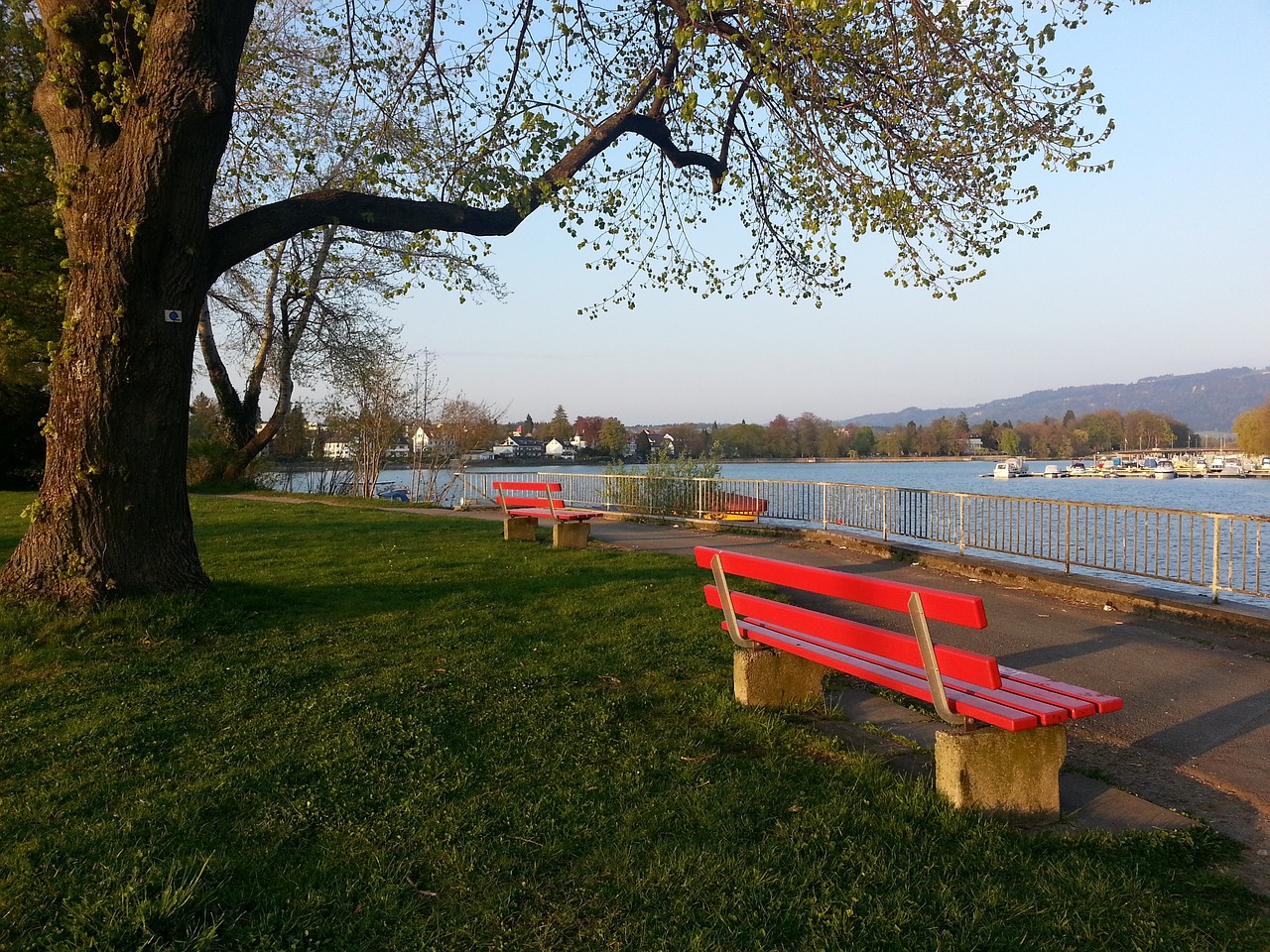 的声音不绝